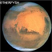 ETHERFYSH - BOX OF FYSH (SUPERB 2004 SYNTH PROJECT) Solid debut release for synth fans that like it melodic and atmospheric in the deep riches of the synth department but with a fresh sounding rhythmic flow!