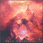 BAINBRIDGE, DAVE - CELESTIAL FIRE (2014 ALBUM/DIGI-PAK) Fabulous semi-instrumental Symphonic-Prog with amazing guitar & keyboard work, superb vocals, warm, ethereal Celtic atmospheres & sizzling production!