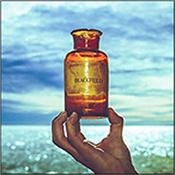 BLACKFIELD (A.GEFFEN/S.WILSON) - BLACKFIELD-V (2LP-180GM VINYL/2016 ALBUM/DOWNLOAD) Double High Quality 180gm vinyl (cut at 45rpm) edition of duo’s 2017 studio album in a Gatefold Sleeve with a 4-Page Booklet and mp3 download code!