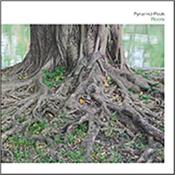 PYRAMID PEAK - ROOTS (2017 STUDIO ALBUM/6-PANEL CARD COVER) A mainstay of the German modern electronic music scene with instrumental music played in a style that brings the “Berlin School” genre to the masses!