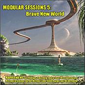 JENKINS, MARK & GUESTS - MODULAR SESSIONS 5:BRAVE NEW WORLD (CARD COVER) Limited Edition album in a series of Limited Edition releases containing improvised Berlin-style synth music featuring guest names from the EM genre!
