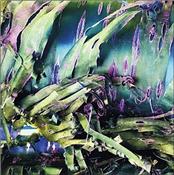 POLYPORES - MULTIZONAL MINDSCRAMBLE (2023 ALBUM/DIGI-PAK)
Stephen James Buckley - aka POLYPORES - returns for his second full album on the DiN imprint following on from his 2022 debut: ‘Hyperincandescent’.