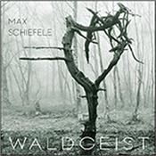 SCHIEFELE, MAX [MAXXESS] - WALDGEIST (2024 SYNTH ALBUM FROM GERMAN GUITARIST) Max Schiefele (aka MAXXESS) normally releases instrumental electric guitar driven CDs across T-DREAM & PINK FLOYD styles … this one is all “Electronic”!