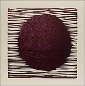 BODDY, IAN/ERIK WOLLO - TRANSMISSIONS (2025 COLLABORATION/DIGI-PAK)
Ltd to just 500 copies, this album from Norwegian ambient guitarist Wøllo and Electronic Music legend Boddy contains inspired & extended live re-workings!