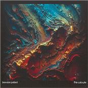 POLLARD, BRENDAN - COILS SUITE (2025/DIGI-PAK/FOLLOW-ON TO STRANDS)
2025 album by UK Electronic Music composer featuring 4 brand new creations and comes packaged in a beautiful, high quality, glossy 4-Panel Digi-Pak!